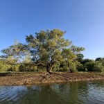 Conferenza Oceanica in Kenya: 6,4 miliardi di dollari promessi per il futuro degli oceani.