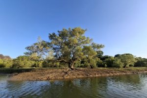 Conferenza Oceanica in Kenya: 6,4 miliardi di dollari promessi per il futuro degli oceani.
