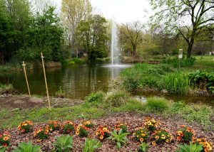 Orti botanici: centri educativi chiave per l’emergenza climatica e la consapevolezza ambientale.