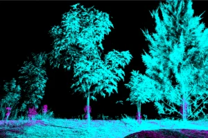 Il laser scanning delle foreste può migliorare le stime di carbonio, ma restano dubbi sulla credibilità.