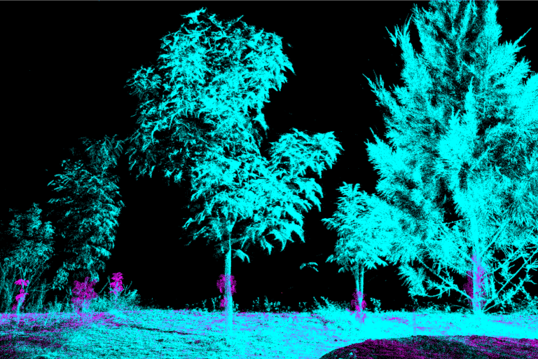Il laser scanning delle foreste può migliorare le stime di carbonio, ma restano dubbi sulla credibilità.