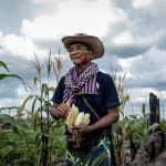 Popoli indigeni in Cambogia denunciano l’accesso negato ai luoghi sacri.