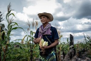 Popoli indigeni in Cambogia denunciano l’accesso negato ai luoghi sacri.