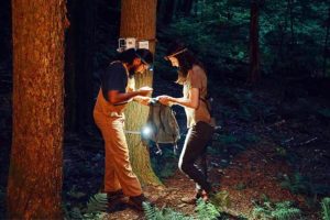 L’urgenza della conservazione: l’importanza delle basi acustiche nel monitoraggio ambientale.
