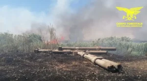 Incendi a Cagliari: pericolo “Medio” confermato per domenica 21 giugno. Presta attenzione!
