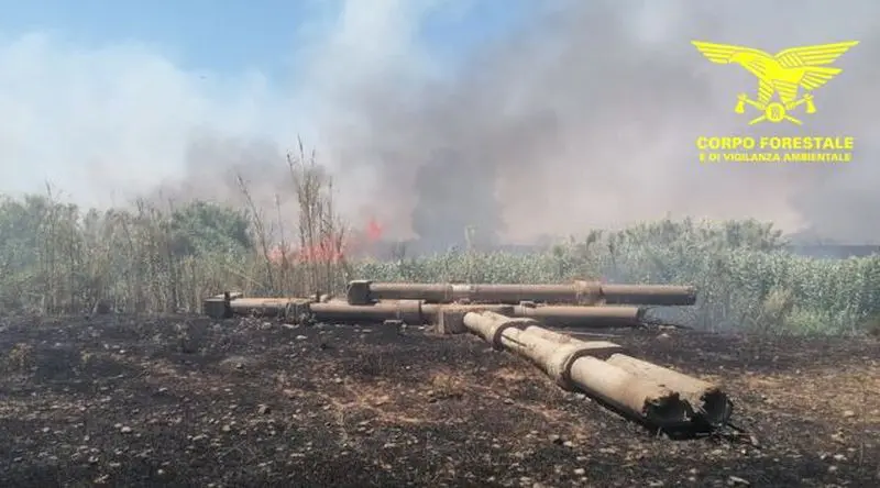 Incendi a Cagliari: pericolo “Medio” confermato per domenica 21 giugno. Presta attenzione!
