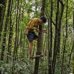 Piano di reintroduzione dei tigri del Bengala in Cambogia suscita dubbi e discussioni.