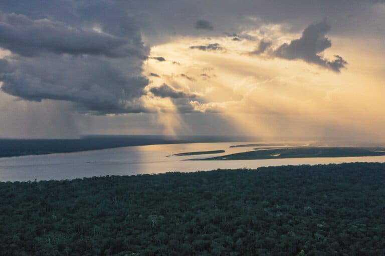 Le fattorie dell’America del Sud dipendono in parte dalla salute dell’Amazzonia.
