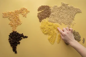 Le banche dei semi: la “cassaforte” della biodiversità contro la crisi climatica