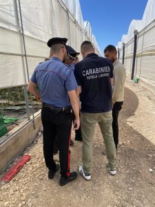 Caporalato nel Palermitano: 15 datori denunciati e 5 attività sospese