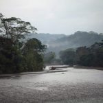 Elezioni in Colombia: quali rischi per l’ambiente e il futuro ecologico del paese?