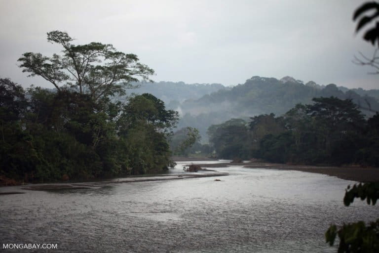 Elezioni in Colombia: quali rischi per l’ambiente e il futuro ecologico del paese?