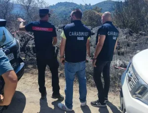 CUFAA potenzia la difesa dei boschi italiani contro gli incendi: nuova strategia di sicurezza.