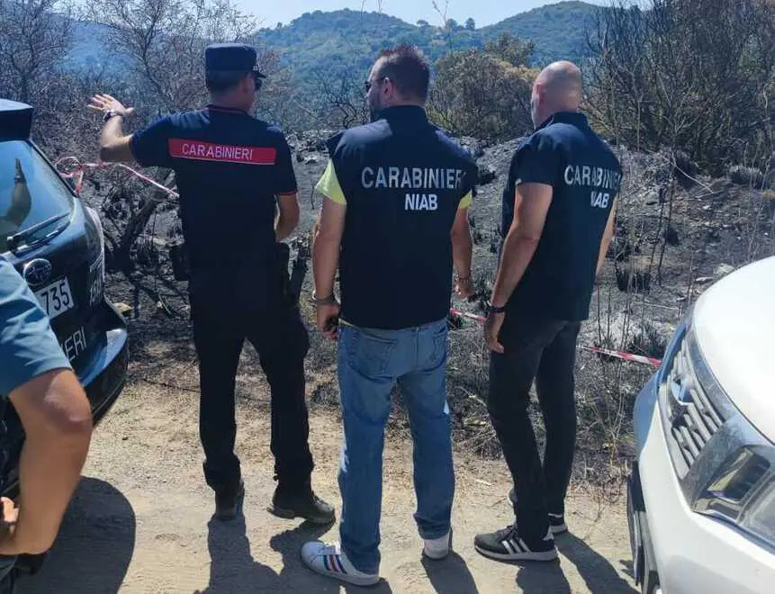 CUFAA potenzia la difesa dei boschi italiani contro gli incendi: nuova strategia di sicurezza.