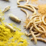 Insetti come cibo del futuro: rivoluzione sostenibile o barriera culturale?