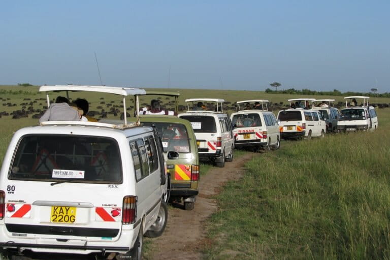 Safari affollati in Kenya: la fauna selvatica è per chi? Scopri la verità.