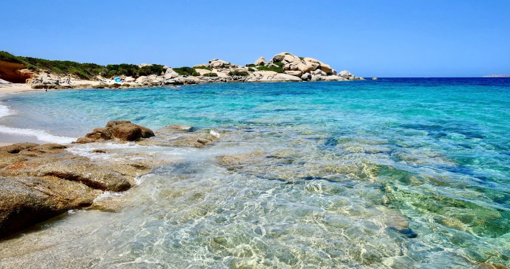 Mare sempre più caldo: effetti su pesci e biodiversità