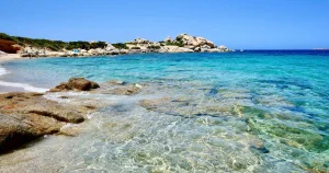 Mare sempre più caldo: effetti su pesci e biodiversità