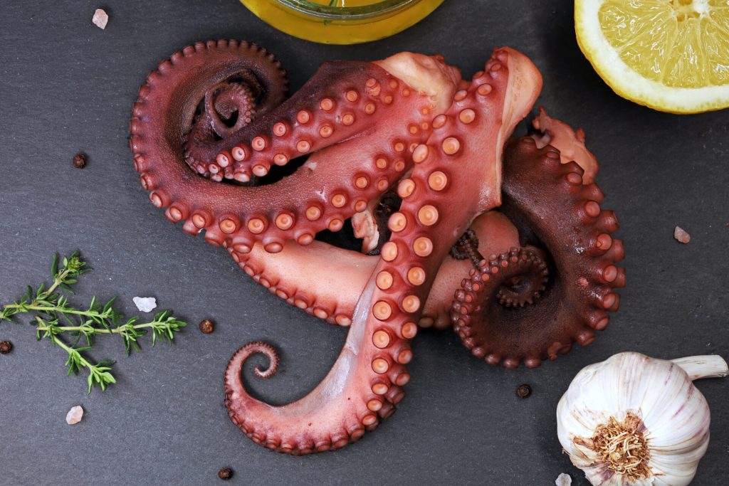 Richiamati tentacoli di polpo congelati per rischio di corpi estranei metallici. Sicurezza alimentare avvisata.