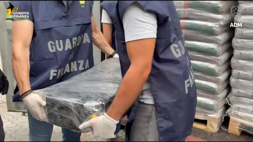 Massiccio sequestro di 113 kg di cocaina al porto di Gioia Tauro: operazione anti-narcotici