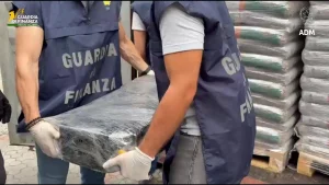 Massiccio sequestro di 113 kg di cocaina al porto di Gioia Tauro: operazione anti-narcotici