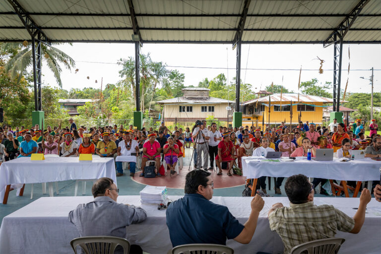 Il supporto delle ONG può influenzare negativamente i diritti territoriali in Amazzonia.