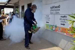 Sri Lanka intensifica la lotta contro dengue e zanzare responsabili dell’infezione.
