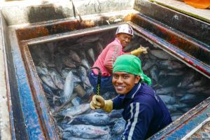 Riforme lavorative nella pesca in Indonesia: un passo avanti per la conservazione ambientale.