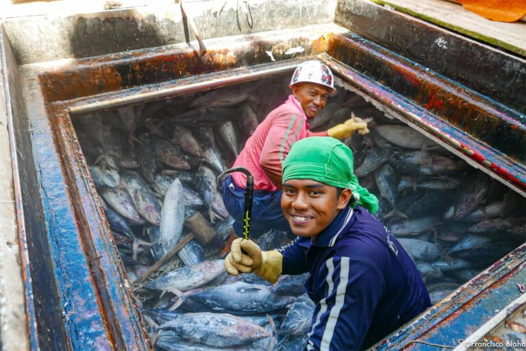 Riforme lavorative nella pesca in Indonesia: un passo avanti per la conservazione ambientale.