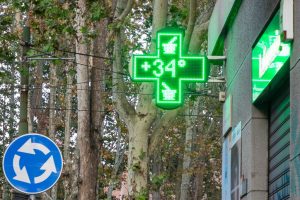 Riforestazione e depavimentazione: fino a 4 gradi di fresco per le città.