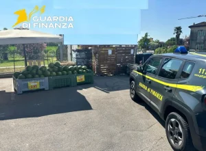Rovigo: sequestrati 450 kg di carne scaduta e 3 tonnellate di verdura marcia.