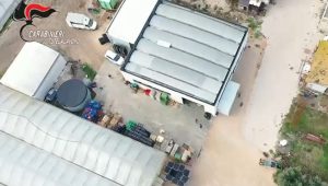 Maxi operazione anti-immigrazione: 22 misure cautelari contro la clandestinità in Italia.