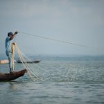 Calano le carpe nel lago Kaptai: i pescatori locali in difficoltà.