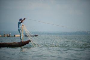 Calano le carpe nel lago Kaptai: i pescatori locali in difficoltà.