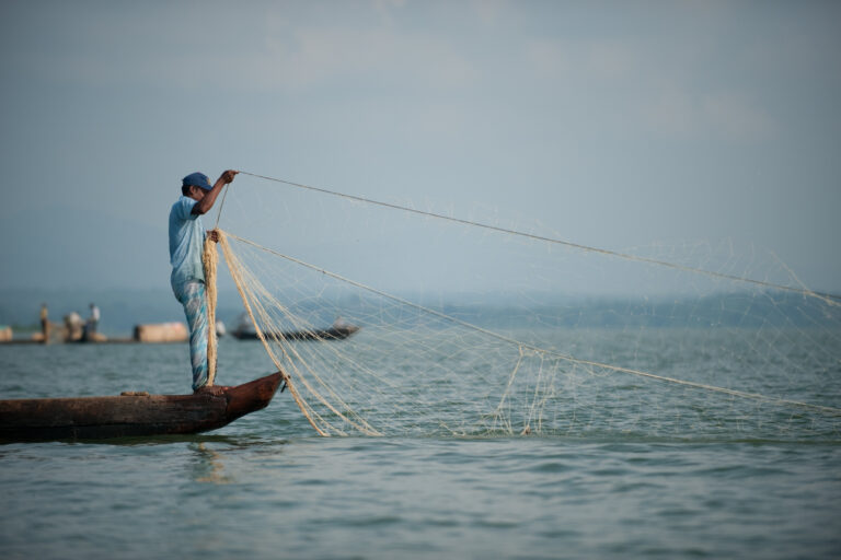 Calano le carpe nel lago Kaptai: i pescatori locali in difficoltà.
