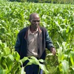 La Guerra del Golfo e il rischio per la sicurezza alimentare in Kenya.