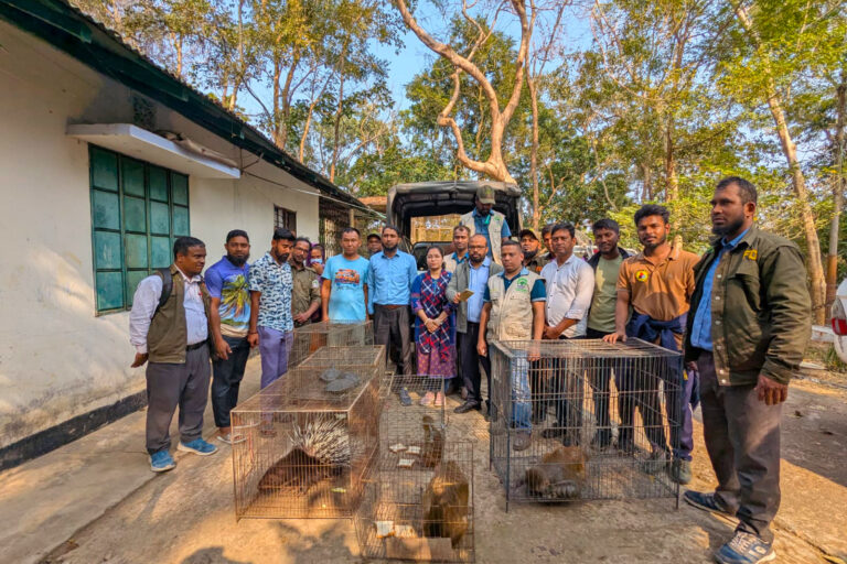 I volontari sono fondamentali nella lotta contro i crimini faunistici in Bangladesh.