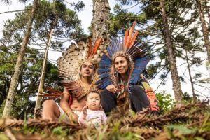Xokleng: salvare un albero sacro per preservare la cultura del Brasile.