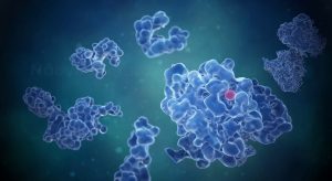 Nuova molecola blocca la crescita del tumore metastatico al rene con promesse terapeutiche.