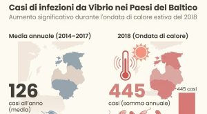 Vibrio e mangiacarne: batteri estivi in Europa, sintomi e aree a rischio.