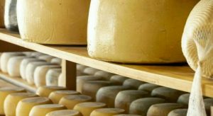 Richiamo di formaggi al tartufo per rischio listeria: ecco i lotti interessati.