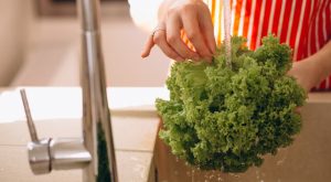 Ciclosporiasi: il parassita invisibile nelle verdure causa epidemia di diarrea negli USA.