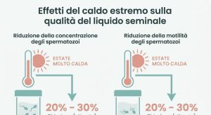 Caldo estremo e notti tropicali: come influenzano desiderio sessuale e fertilità maschile