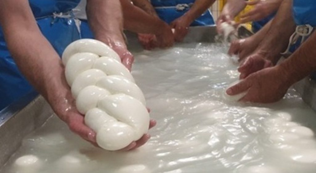 Mozzarella di Bufala: I Cinque Posti Imperdibili per Assaporarla alla Massima Qualità!