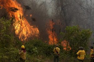 Terzo anno di incendi minaccia comunità indigena isolata in Bolivia. Urge intervento urgente!