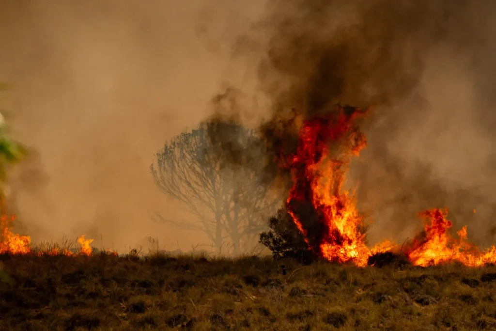 Incendio ad Almeria: aumenta il bilancio, una donna deceduta, 13 vittime totali.
