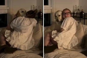 Avversione verso gli animali post-parto: segni e come affrontarla efficacemente.