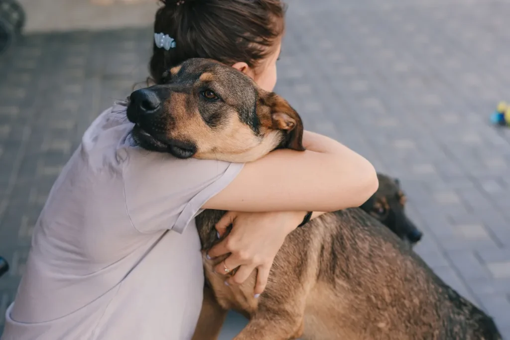 Perché abbracciare il tuo cane può risultare più dannoso che benefico.