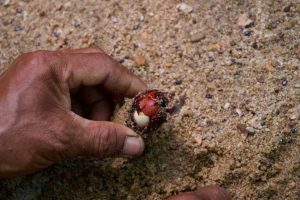 Normative aggiornate evidenziano l’importanza del restauro: è tempo di generare un cambiamento positivo.