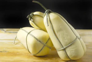 Richiamo alimentare: 60 lotti di caciocavallo e 2 di caciotta per Escherichia coli STEC/VTEC